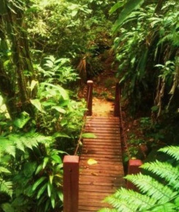 Hotel Bosques Do Massaguacu Caraguatatuba Esterno foto