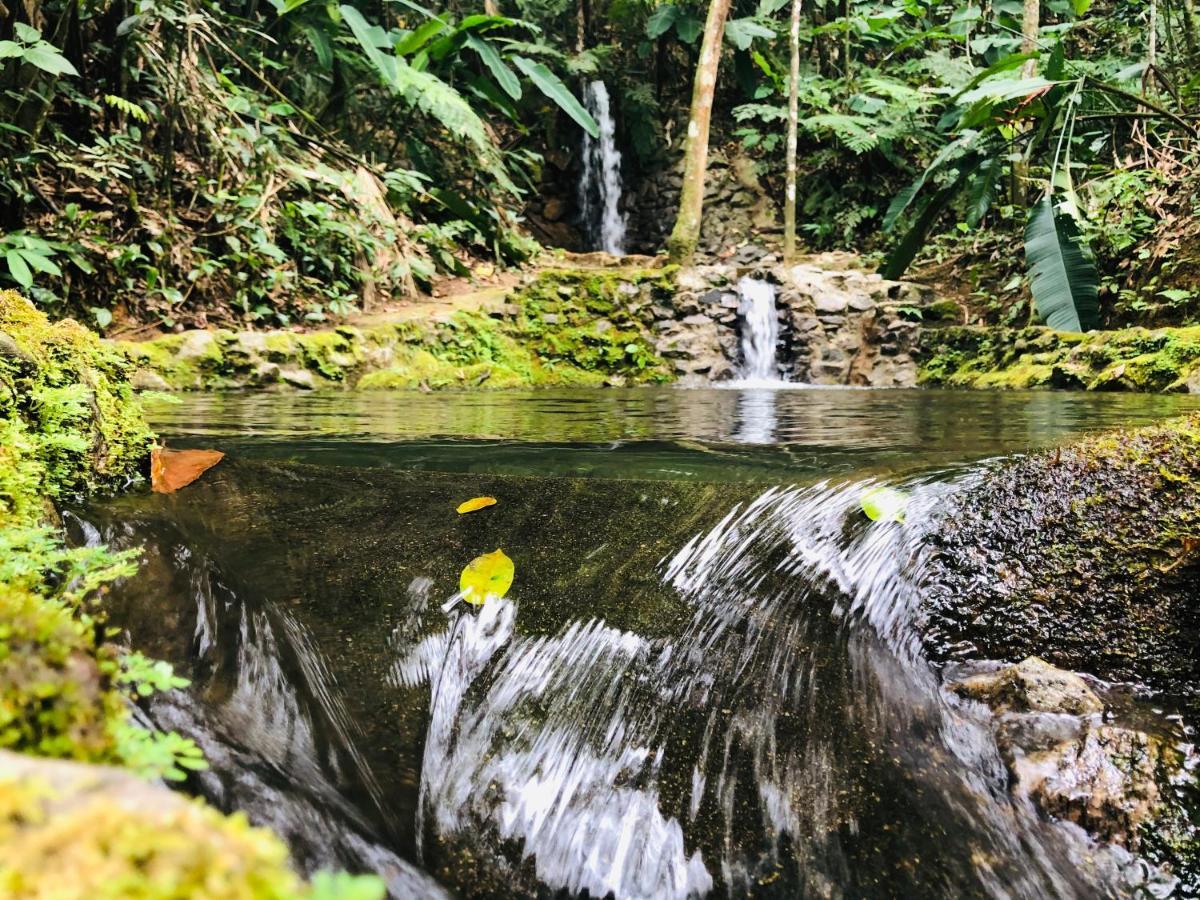 Hotel Bosques Do Massaguacu Caraguatatuba Esterno foto
